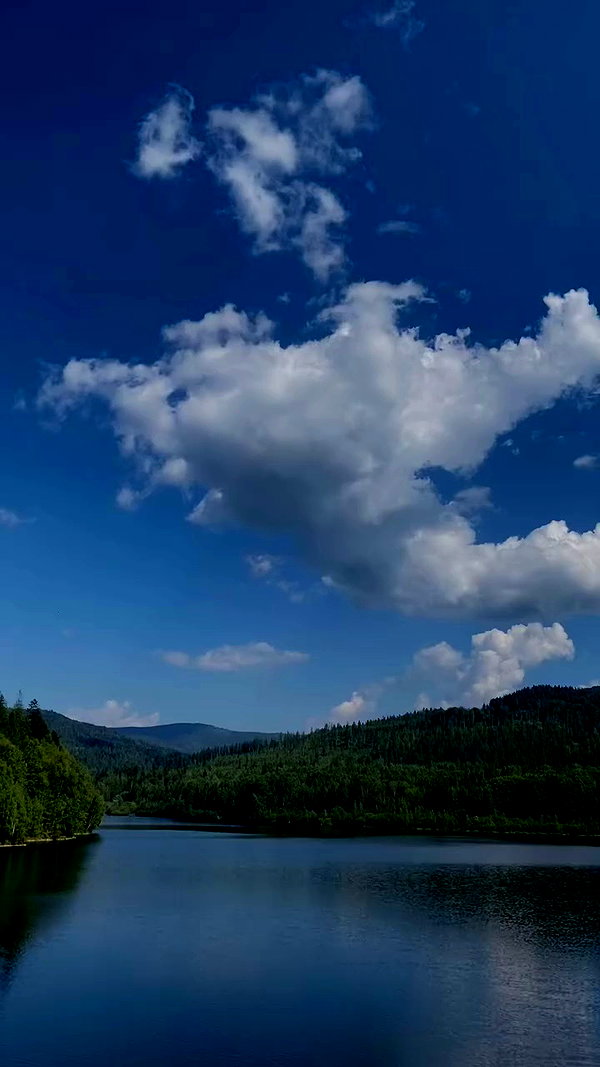 noa_zemlyanski archive video preview