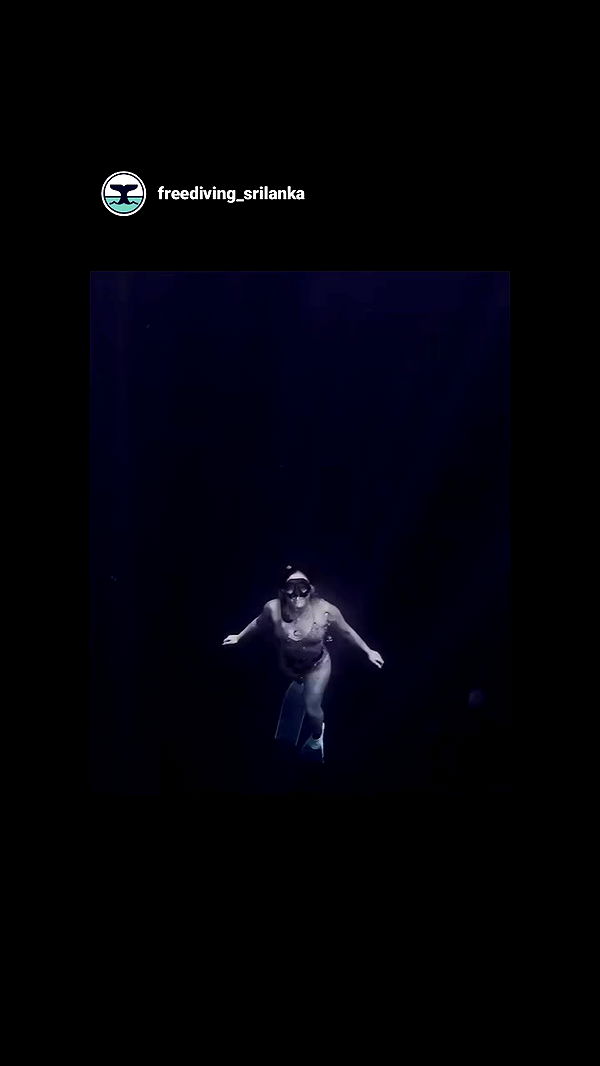 tinapavlov.sky archive video preview