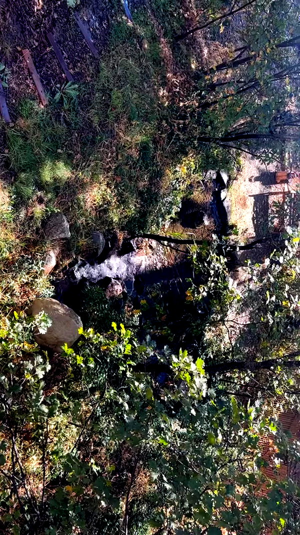 sydney_melman archive video preview
