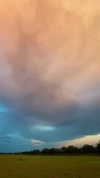 klarissasalazar Altpins Profile Picture