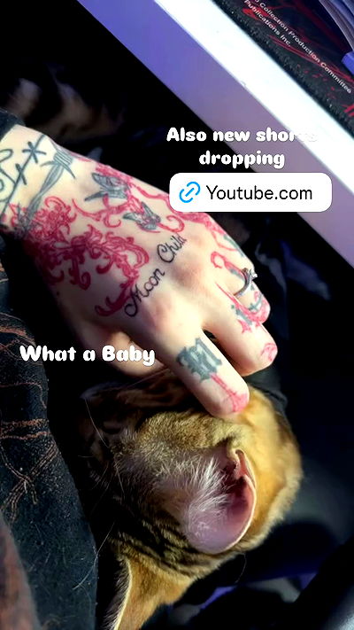 laurinchhhe laurinchhhe archive video