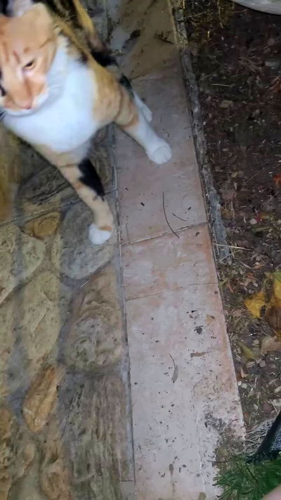 feelbetterinmysweater feelbetterinmysweater archive video