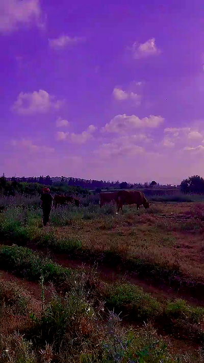 feelbetterinmysweater feelbetterinmysweater archive video