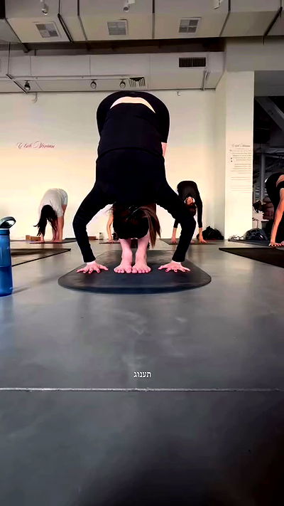 talweisswasser talweisswasser archive video