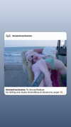 amellliiaa Altpins Profile Picture