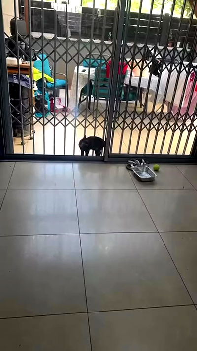 shelly_.mor shelly_.mor archive video