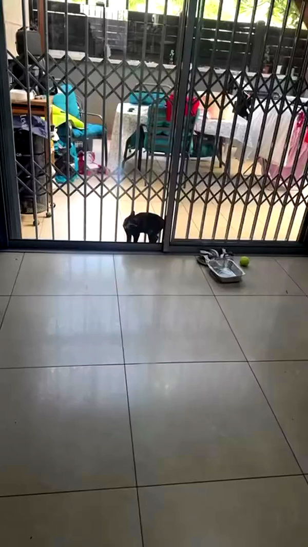 shelly_.mor archive video preview