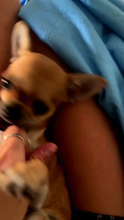 jaroslava_klavir jaroslava_klavir archive video