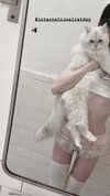 delicatedo11y Altpins Profile Picture
