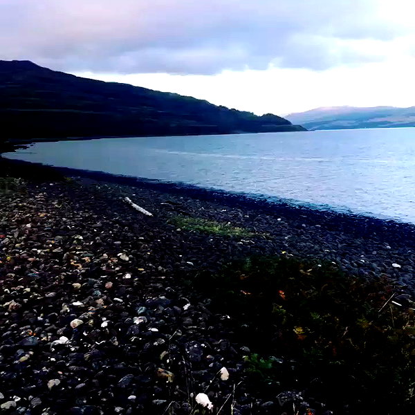 daisystorey_x archive video preview