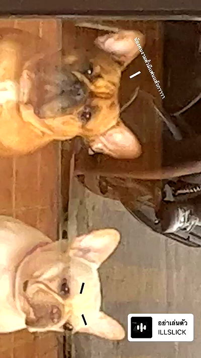 oqr0_ oqr0_ archive video