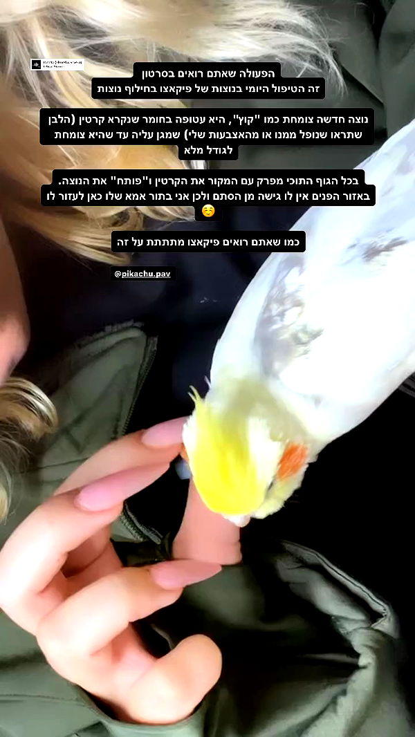 tinapavlov.sky archive video preview