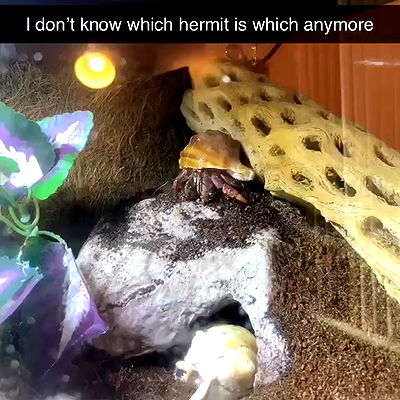 dakotabell05 dakotabell05 archive video