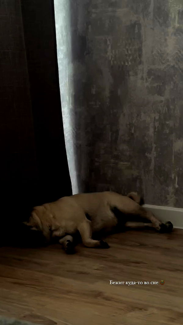 nyityam archive video preview