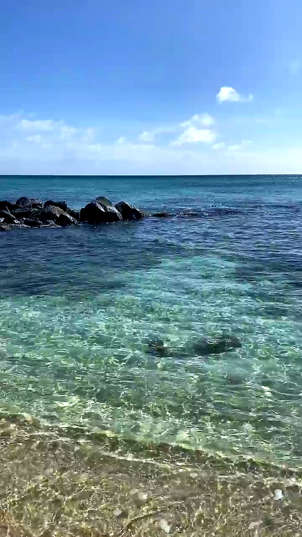 laurasaponara archive video preview