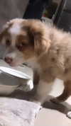 madelinemonet Altpins Profile Picture