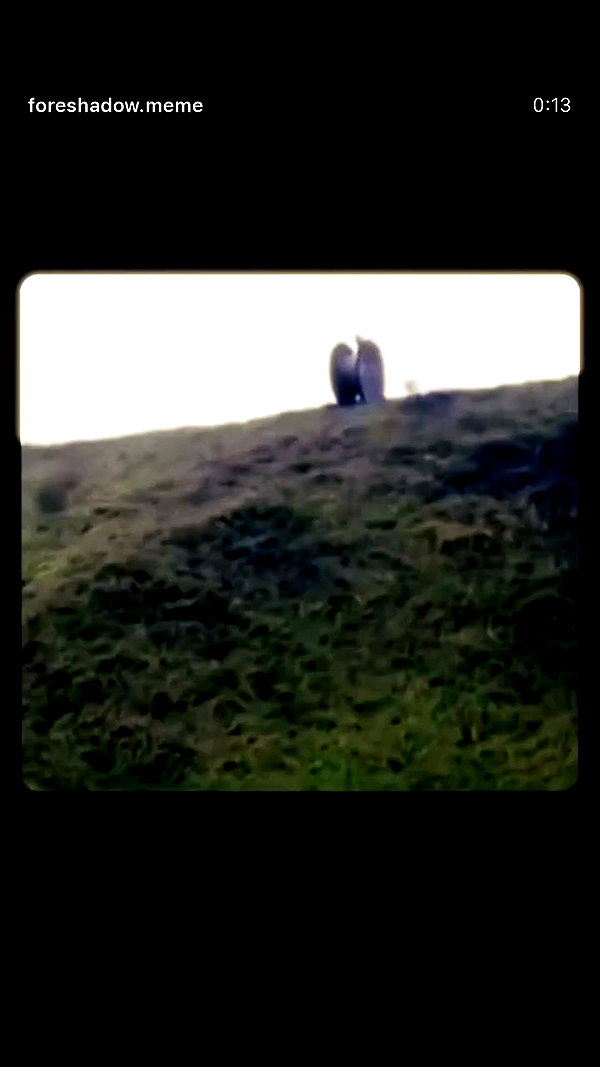 milka_guberman archive video preview