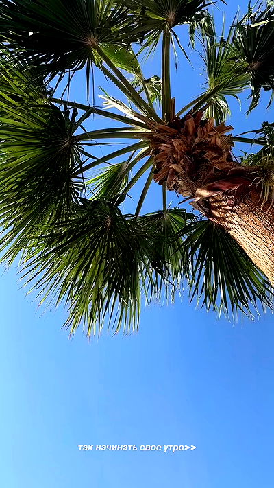 djami.lyalya djami.lyalya archive video