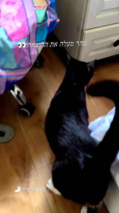 _wizardmidget_ _wizardmidget_ archive video