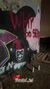 ben_zemach Altpins Profile Picture