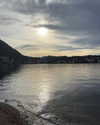 noy.razz Altpins Profile Picture