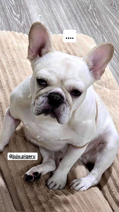 iamdorasnow iamdorasnow archive video