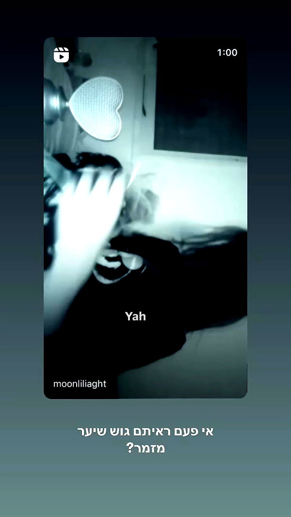 moonliliaght archive video preview