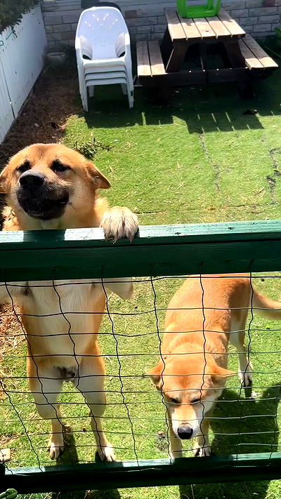 feelbetterinmysweater feelbetterinmysweater archive video