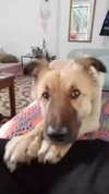 soll_f0 Altpins Profile Picture