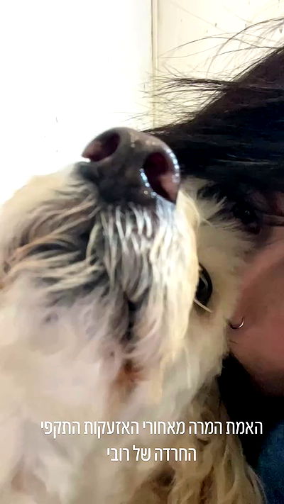 feelbetterinmysweater feelbetterinmysweater archive video