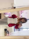 mia_rihan_ Altpins Profile Picture