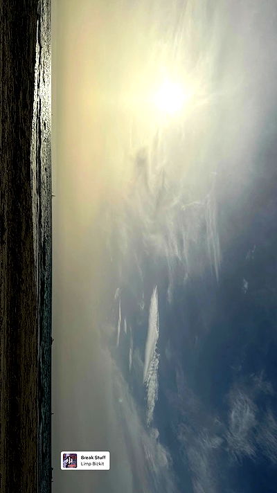 mishel116 mishel116 archive video