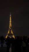flo_holland53 Altpins Profile Picture