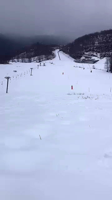 elianachetrit archive video preview