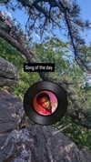 zz.eazoning Altpins Profile Picture