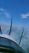 cat2_bat Altpins Profile Picture