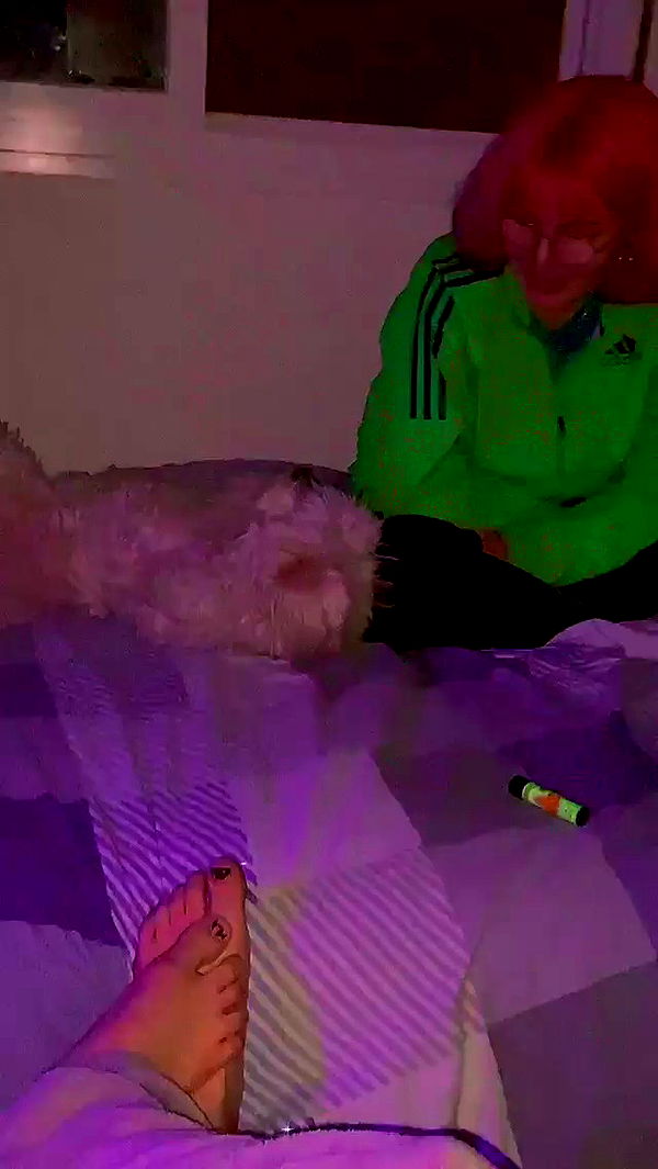 feelbetterinmysweater archive video preview