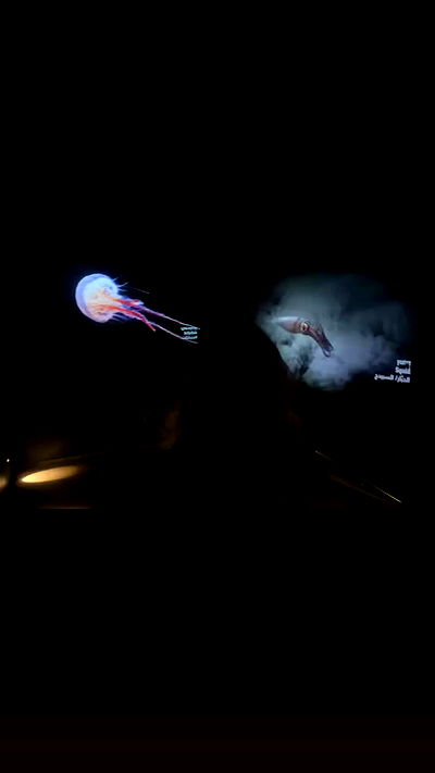 rose_xanne rose_xanne archive video