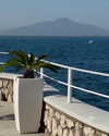 nathalie_doyle Altpins Profile Picture