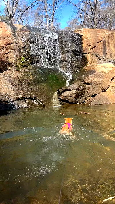 zommmbri zommmbri archive video