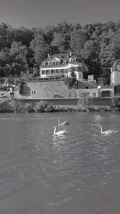 payton.r payton.r archive video