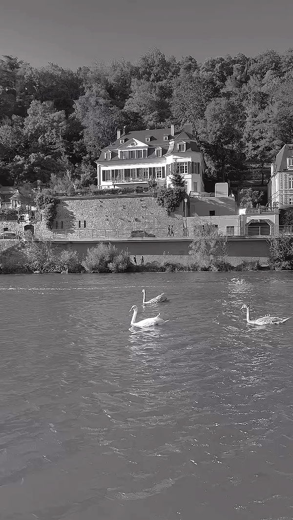 payton.r archive video preview