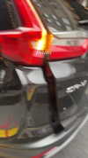 sydney_melman Altpins Profile Picture