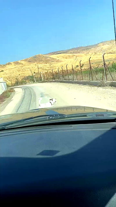 nikolgolovatzky nikolgolovatzky archive video