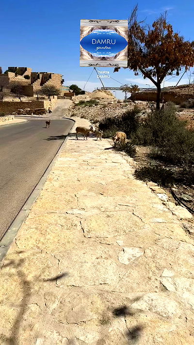 romy_ayalla_lavi romy_ayalla_lavi archive video