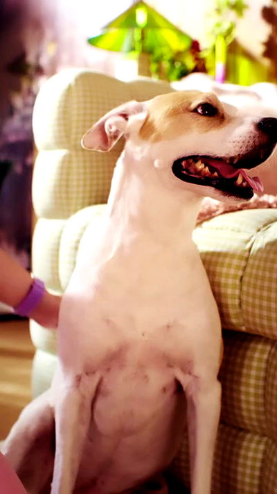 sydney_sweeney sydney_sweeney archive video