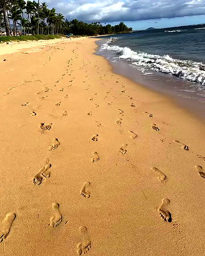 sydney_sweeney sydney_sweeney archive video