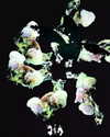 lejinfan Altpins Profile Picture