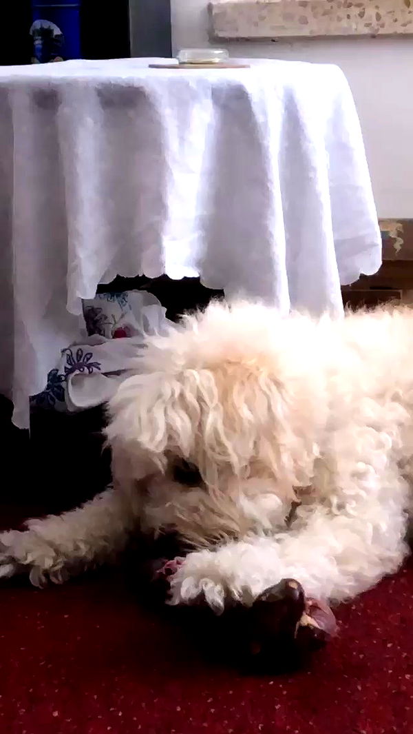 feelbetterinmysweater archive video preview