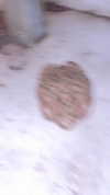 jesskq_ Altpins Profile Picture